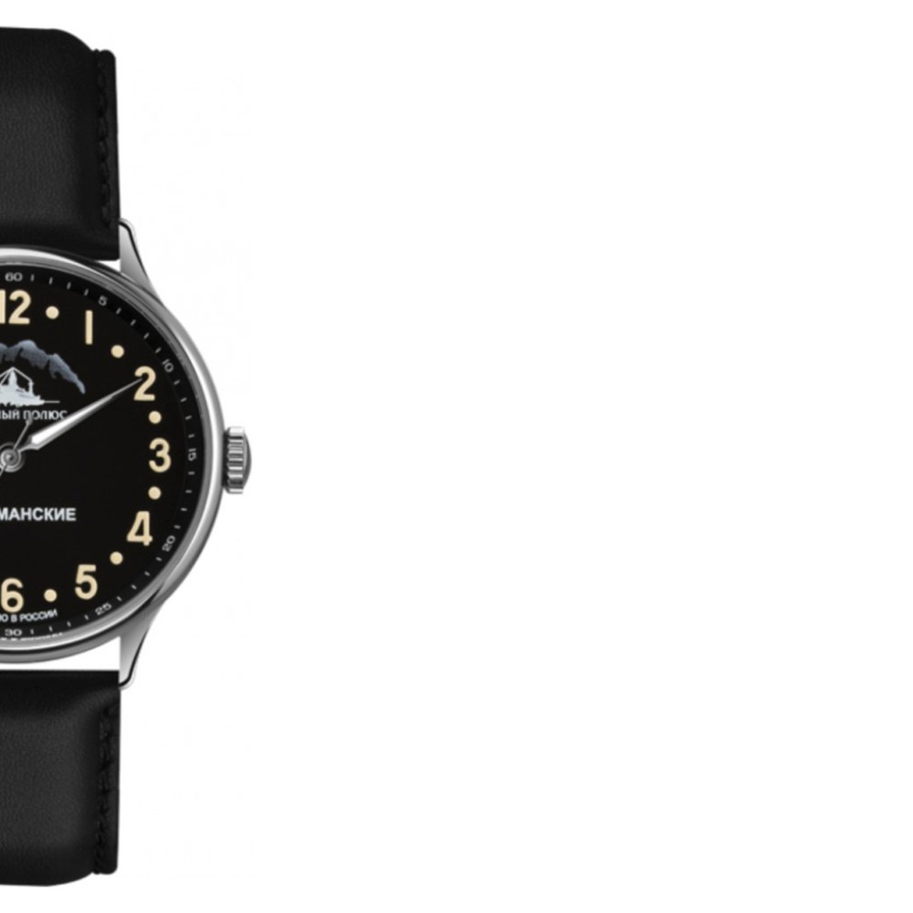 Sturmanskie Arctic 2409-2261290 - zegarek męski 6