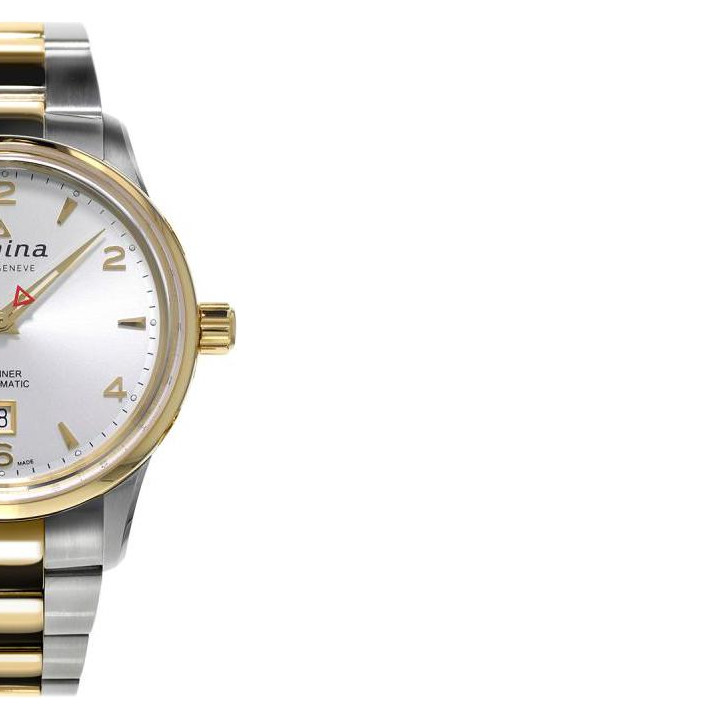 Alpina Alpiner Automatic AL525S4E3B 6