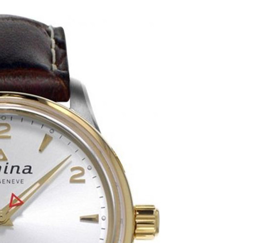 Alpina Alpiner Automatic AL525S4E3 5