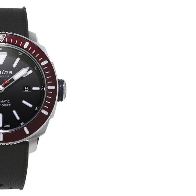 Alpina Seastrong Diver 300 Automatic AL525LBBRG4V6 6