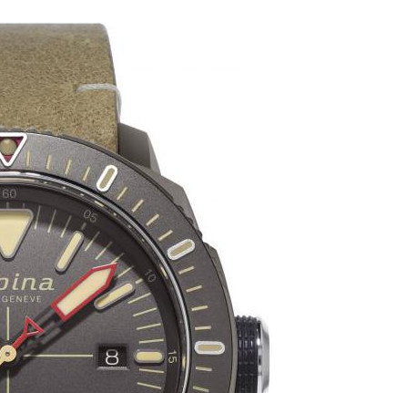 Alpina Seastrong Diver 300 Automatic AL525LGG4TV6 5