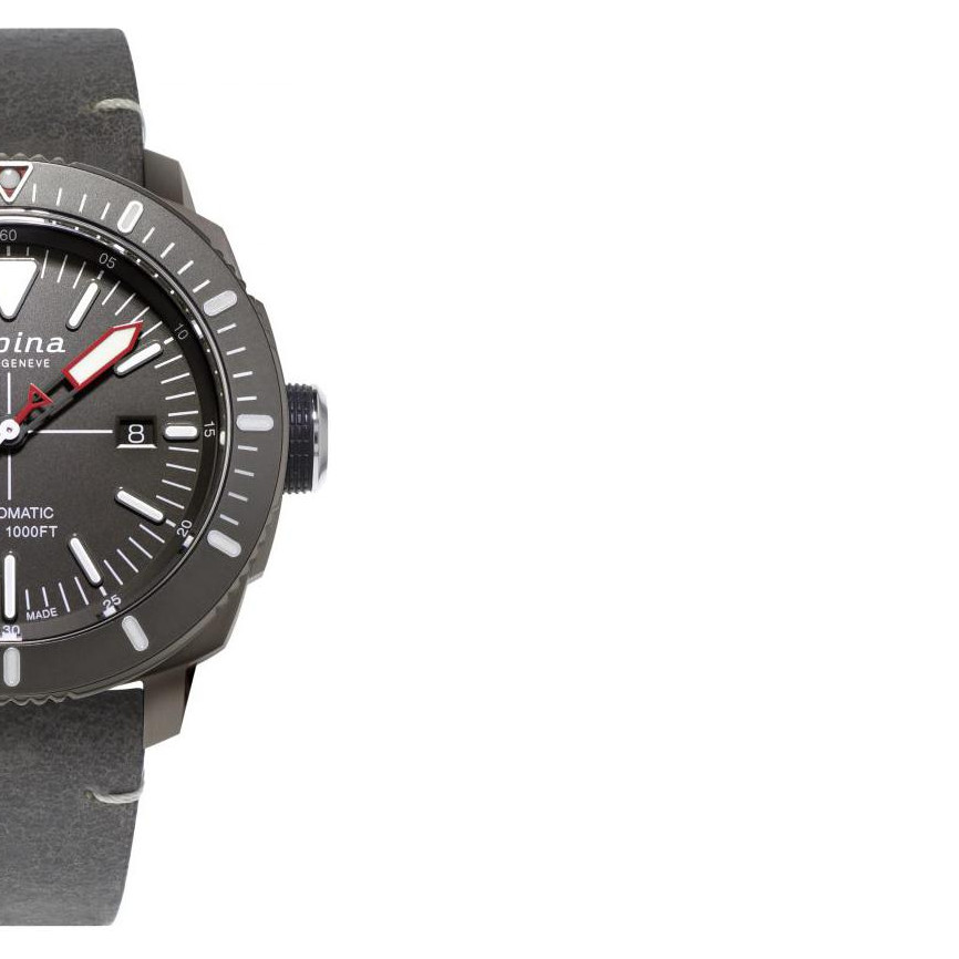 Alpina Seastrong Diver 300 Automatic AL525LGGW4TV6 6