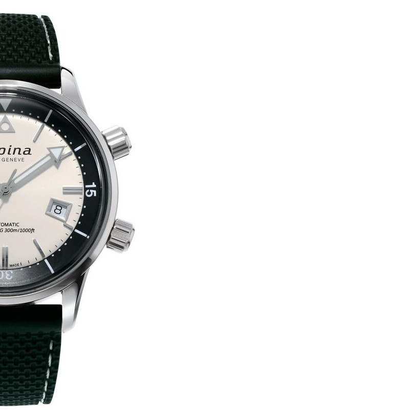 Alpina Seastrong Diver 300 Heritage AL525S4H6 6