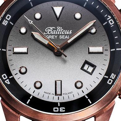 Balticus Grey seal BAGSIIBR 2