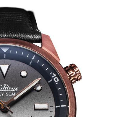 Balticus Grey seal BAGSIIBR 5