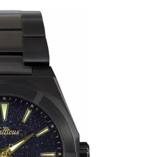 Balticus Męskie BACPBD 5