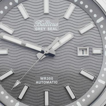 Balticus Męskie BAGSGR 2