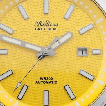 Balticus Męskie BAGSYE 2