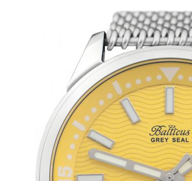 Balticus Męskie BAGSYE 4