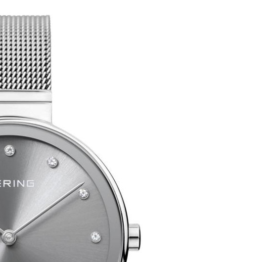 Bering Classic 12034009 5