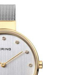 Bering Classic 12034010 5