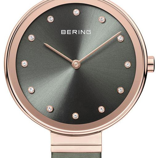 Bering Classic 12034667 2