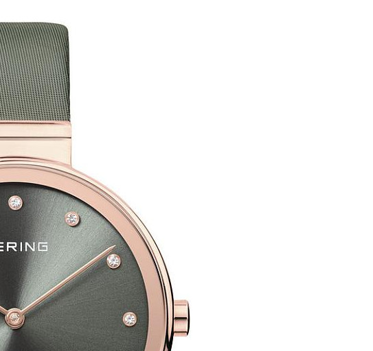 Bering Classic 12034667 5