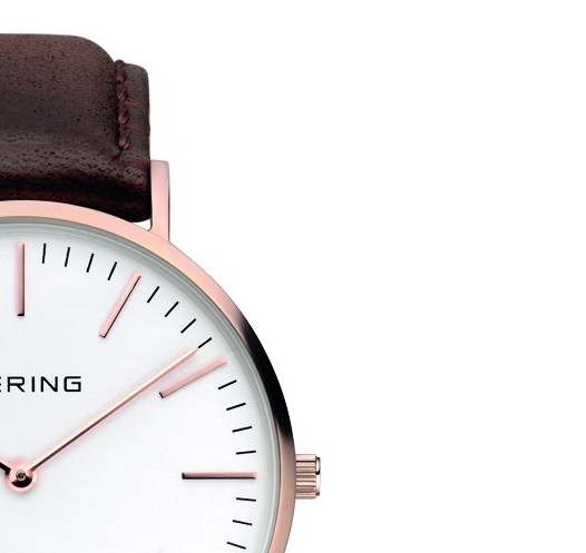 Bering Classic 13738564 5