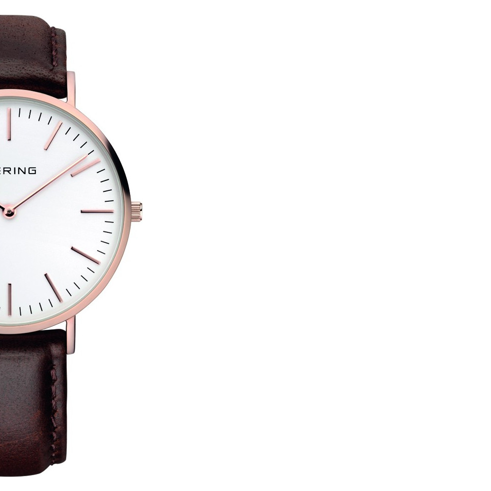 Bering Classic 13738564 6