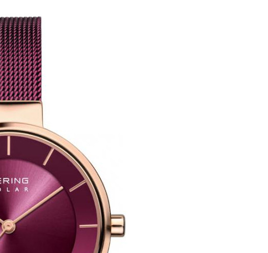Bering Solar 14631-969 - zegarek damski 5