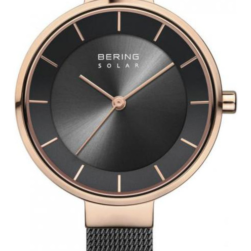 Bering Solar 14631166 2