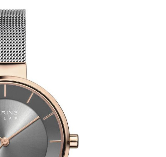 Bering Solar 14631369 5