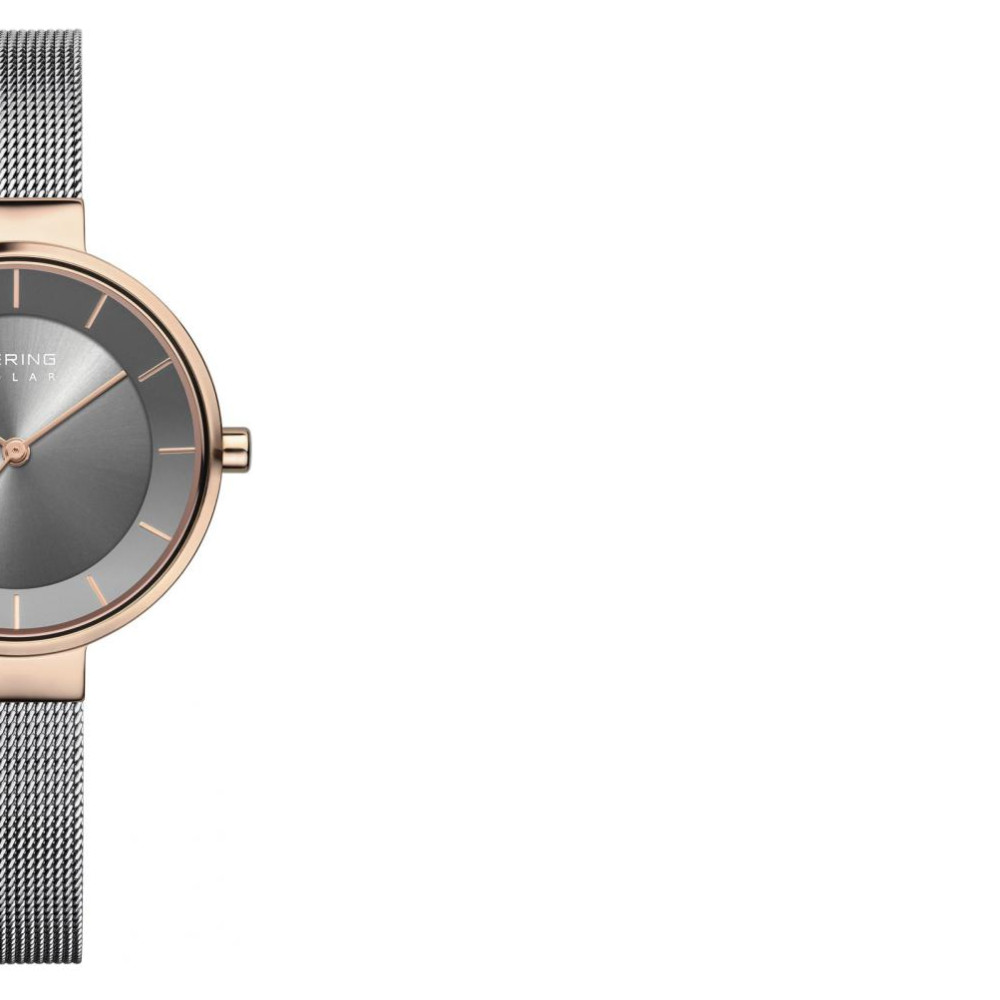 Bering Solar 14631369 6