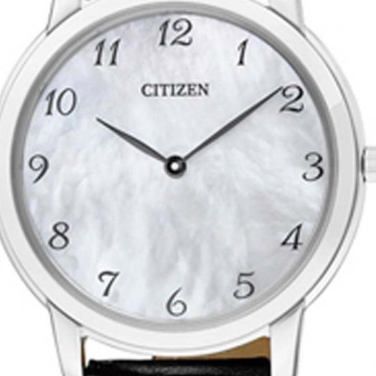 CITIZEN LEATHER EG600112D 2