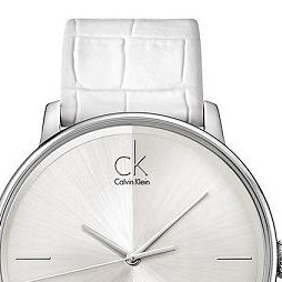 Calvin Klein ACCENT BIG K2Y2X1K6 3