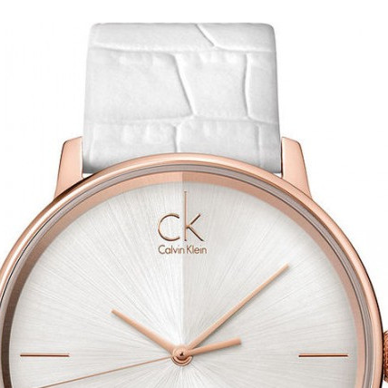 Calvin Klein ACCENT BIG K2Y2X6K6 3