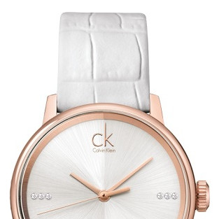 Calvin Klein ACCENT DIAMONDS K2Y2Y6KW 3