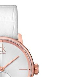 Calvin Klein ACCENT SMALL K2Y236K6 5