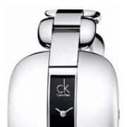 Calvin Klein CK TREASURE K2E23111 3