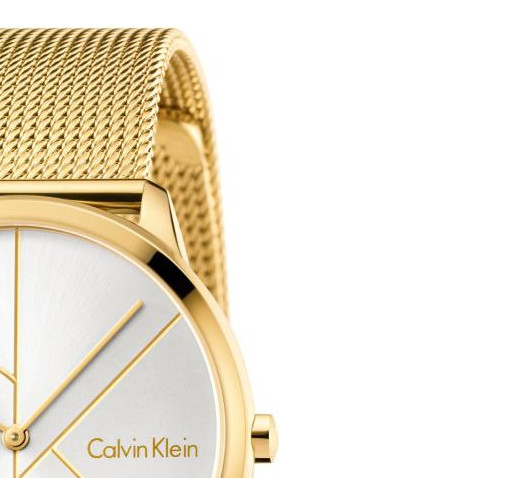 Calvin Klein MINIMAL K3M21526 5