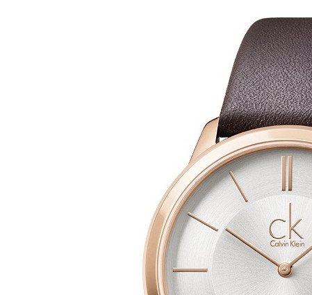 Calvin Klein MINIMAL K3M216G6 4