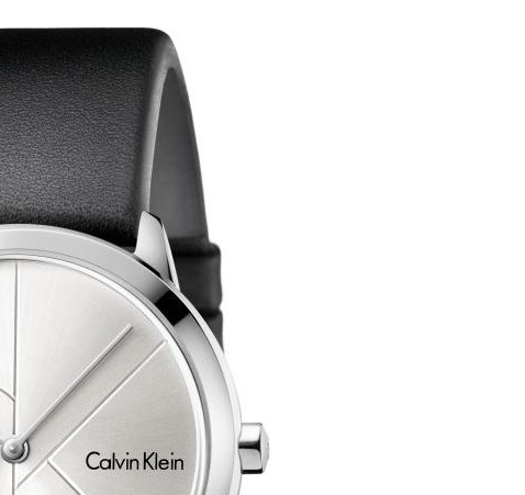 Calvin Klein MINIMAL K3M221CY 5