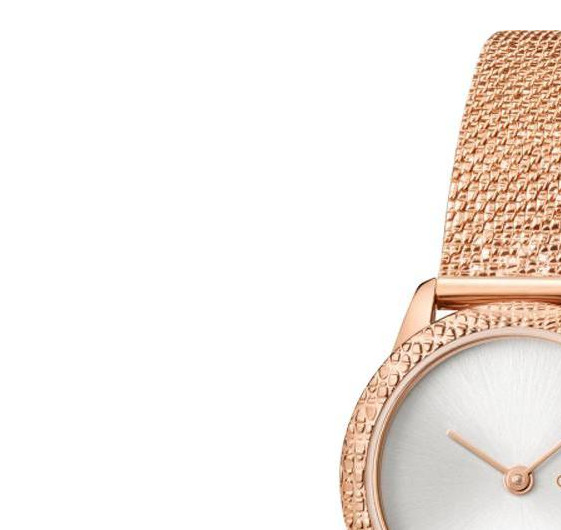 Calvin Klein MINIMAL K3M23U26 4