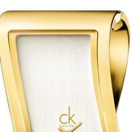 Calvin Klein Pensive K1T24501 3