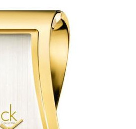 Calvin Klein Pensive K1T24501 5