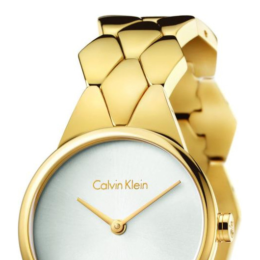 Calvin Klein SNAKE K6E23546 3