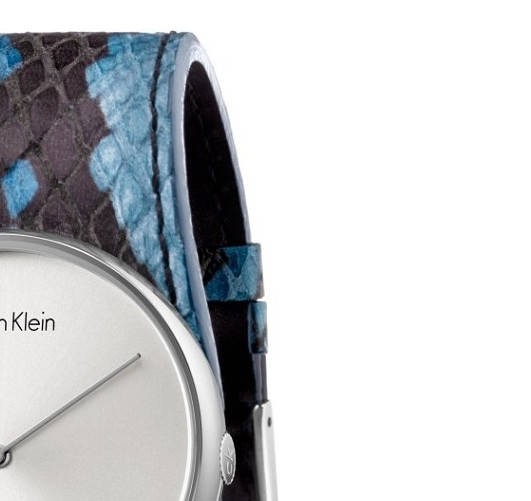 Calvin Klein SPELLBOUND K5V231V6 5