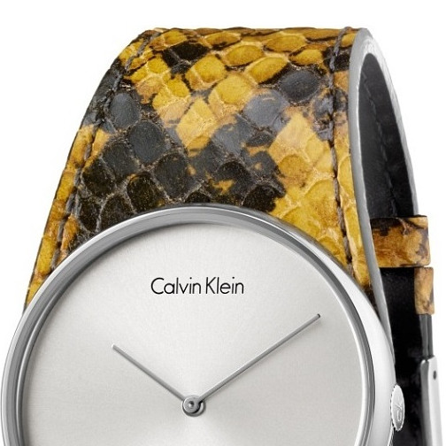 Calvin Klein SPELLBOUND K5V231Z6 3