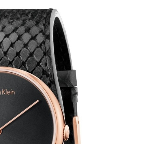 Calvin Klein SPELLBOUND K5V236C1 5