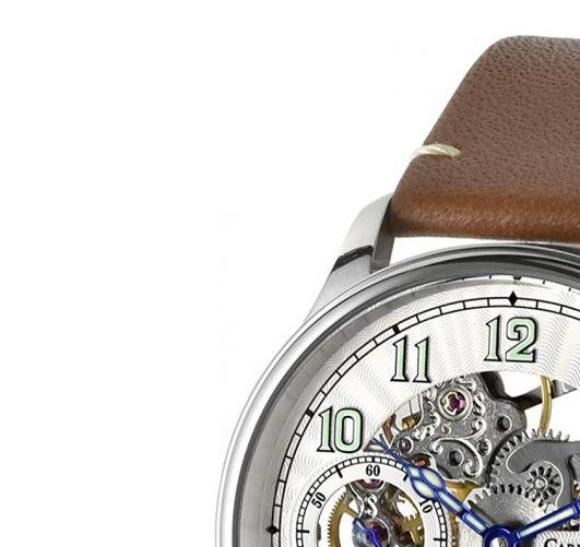 Carl Von Zeyten Automatic Skeleton Zeyten Lahr CVZ0021WH - zegarek męski 4