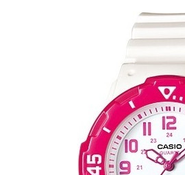 Casio Casio Collection LRW200H4B 4