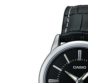 Casio Casio Collection LTP1303L1A 4