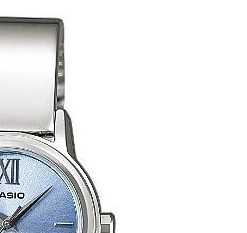 Casio Casio Collection LTP1343D2C 5