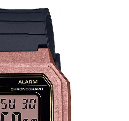 Casio Casio Collection W217HM5A 5