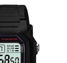 Casio Casio Collection W800H1A 5