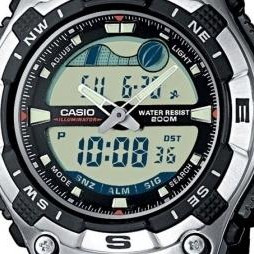 Casio Standard Combo AQW1001A 2