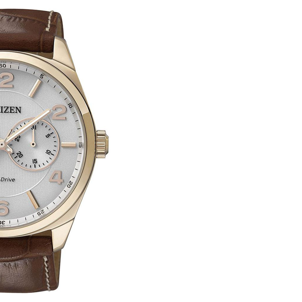 Citizen ECO DRIVE AO902416A 6