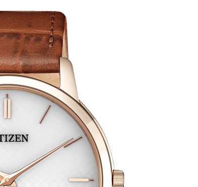 Citizen ECO DRIVE AR113315A 5