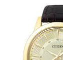 Citizen ECO DRIVE BF201305PE 4