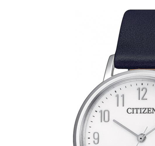 Citizen EcoDrive EM057116A 4